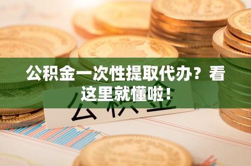 鄂伦春公积金一次性提取代办？看这里就懂啦！